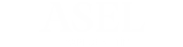 Asel Yapı Denetim